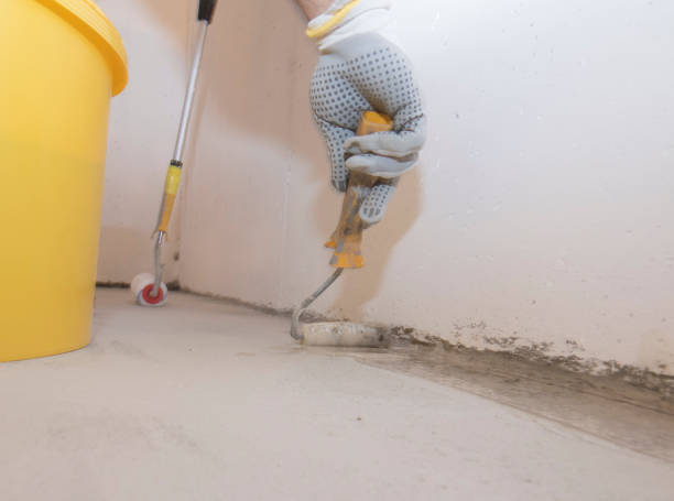 Best Fumigation Services  in Rome, IL